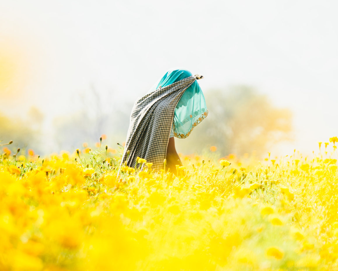 pushkar_01